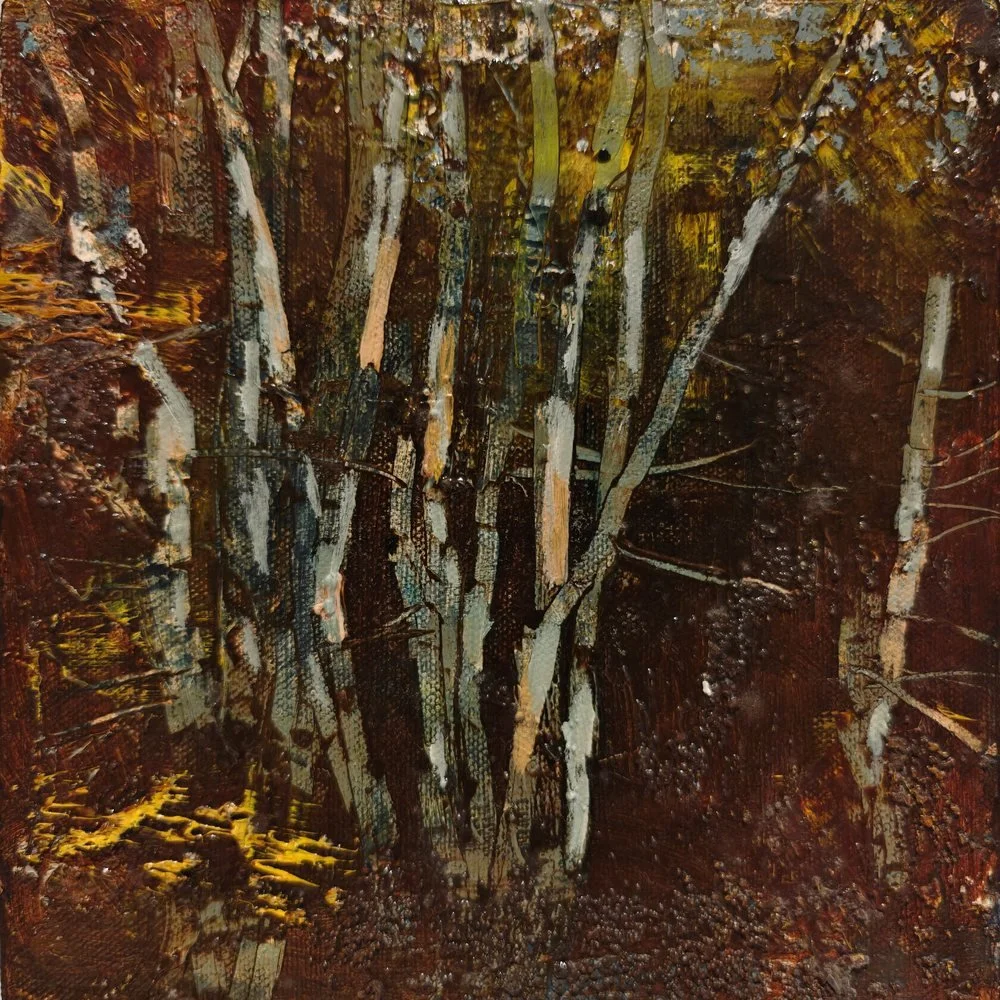 In the Thicket #8