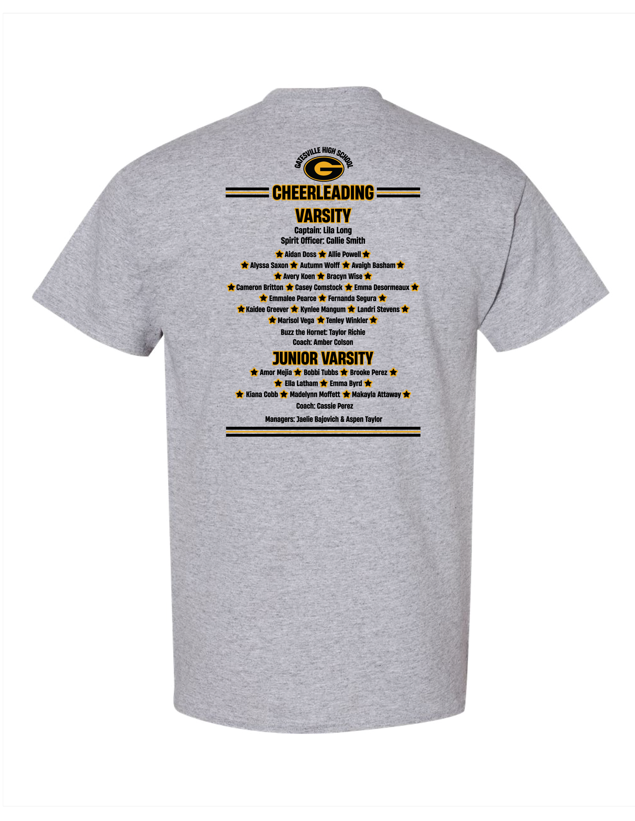 Gildan Heavyweight-Sport Grey Roster Back.png