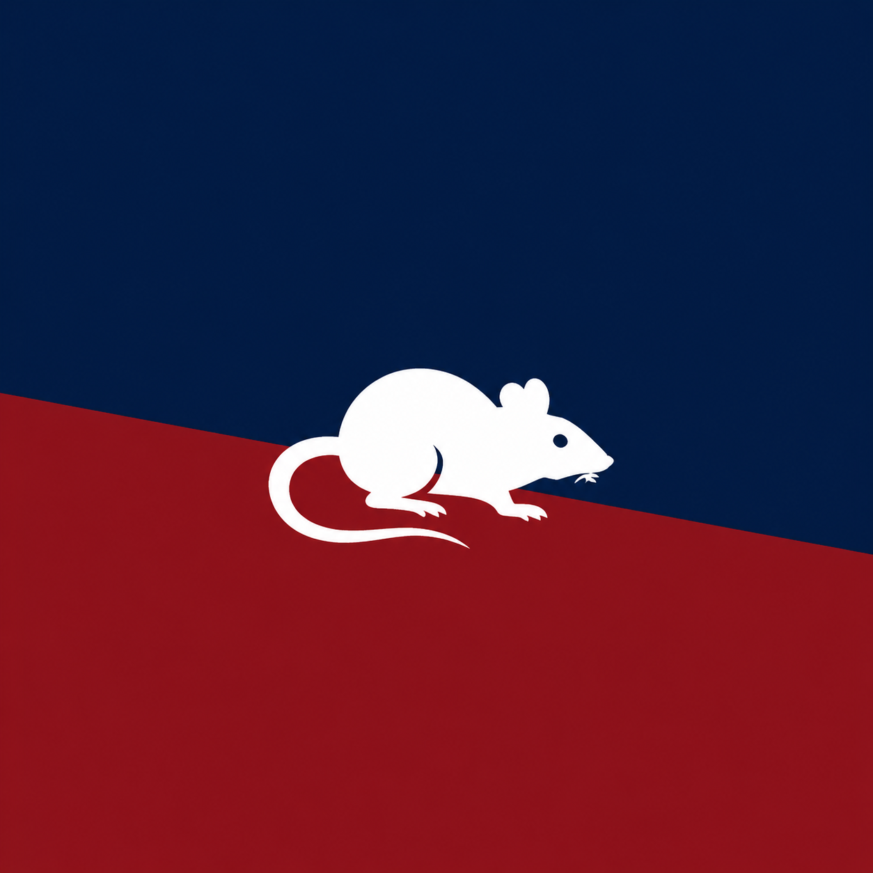 Rodent Control