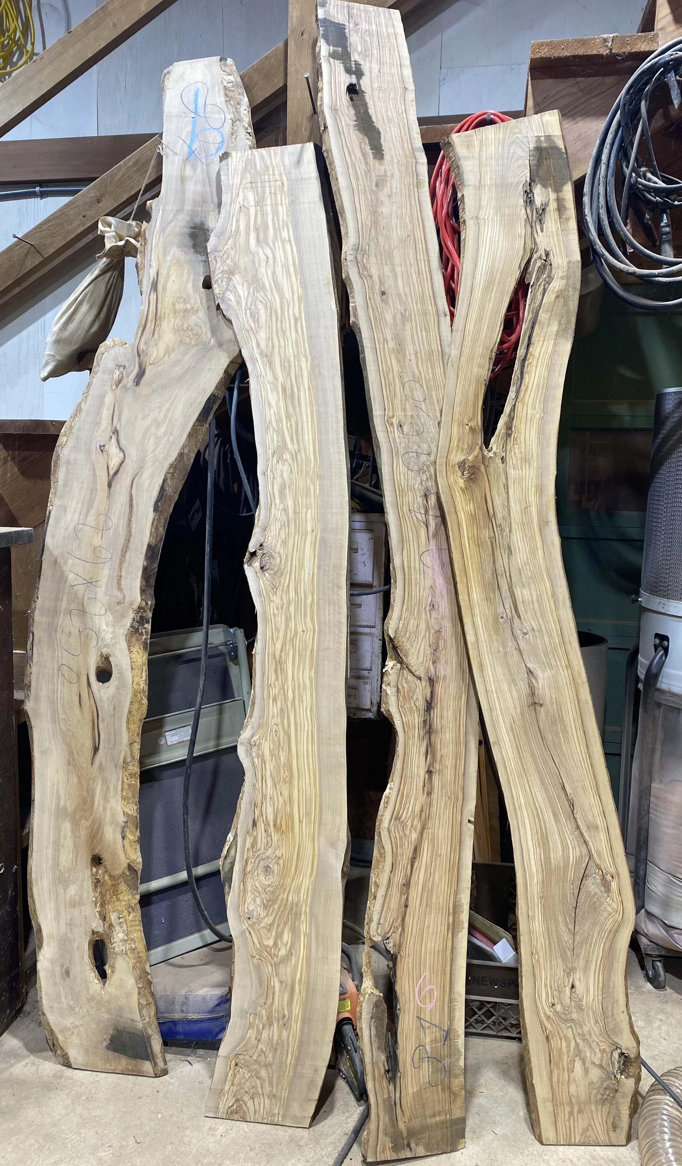 Natural, unfinished wooden slabs with live edges standing upright in a workshop setting.