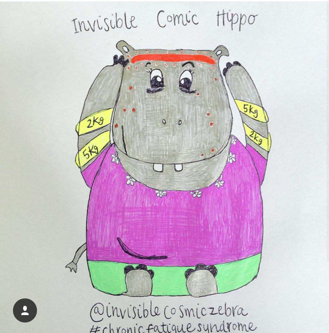 This is my “Invisible Comic Hippo”. I chose the hippo because I have Chronic Fatigue Syndrome/Myalgic Encephalomyelitis and I felt the hippo could represent this pretty accurately. I often feel like I weigh 200kg, and the best way I can explain the a