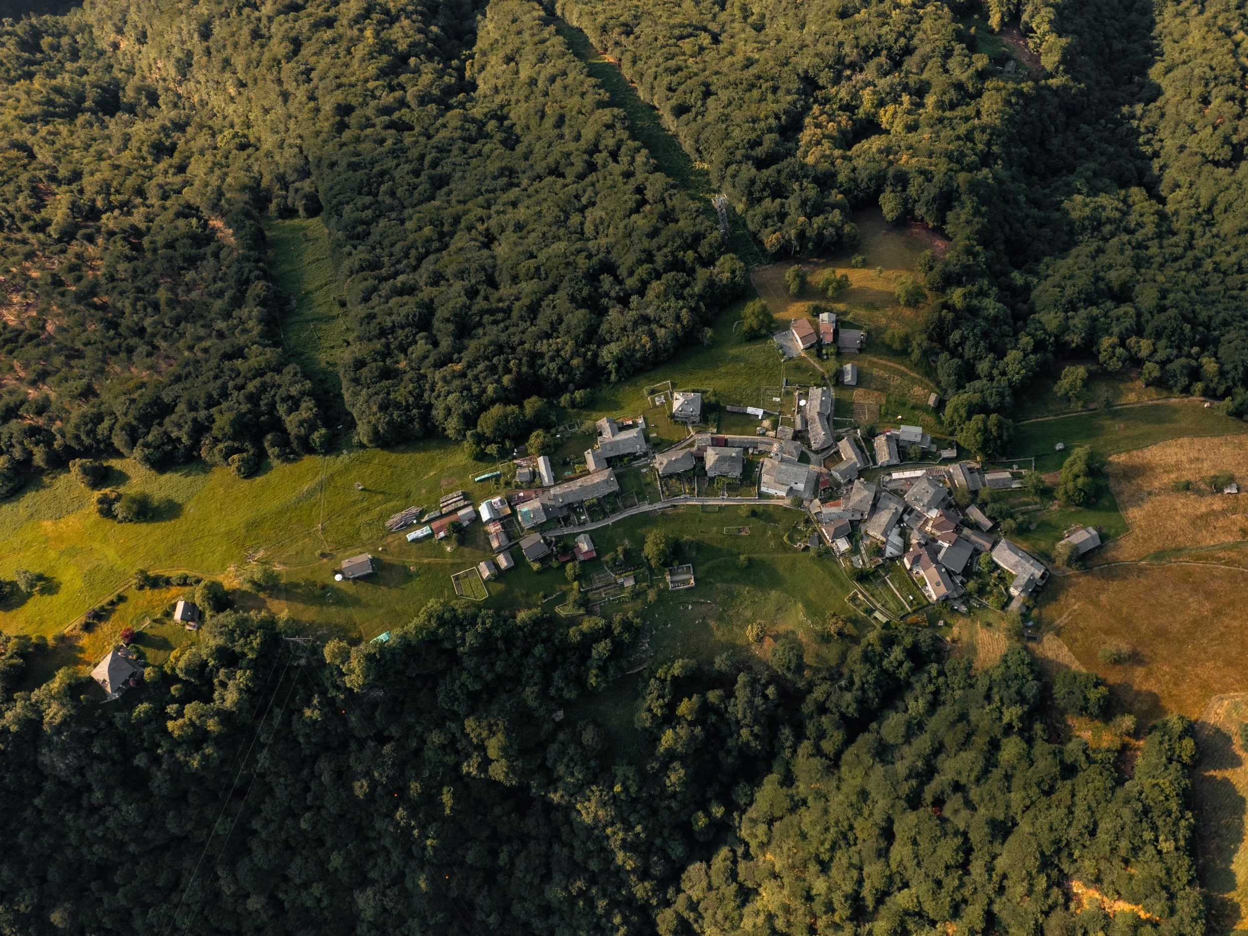 Vogelperspektive auf ein kleines Dorf inmitten eines Waldes, umgeben von Feldern und Wiesen.