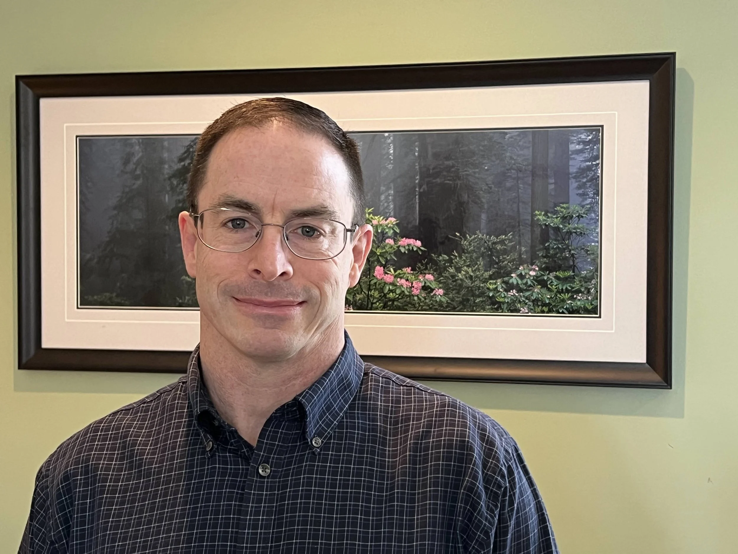 A man with short brown hair, wearing glasses and a checkered button-up shirt, standing in front of a framed painting of a forest with pink flowers.