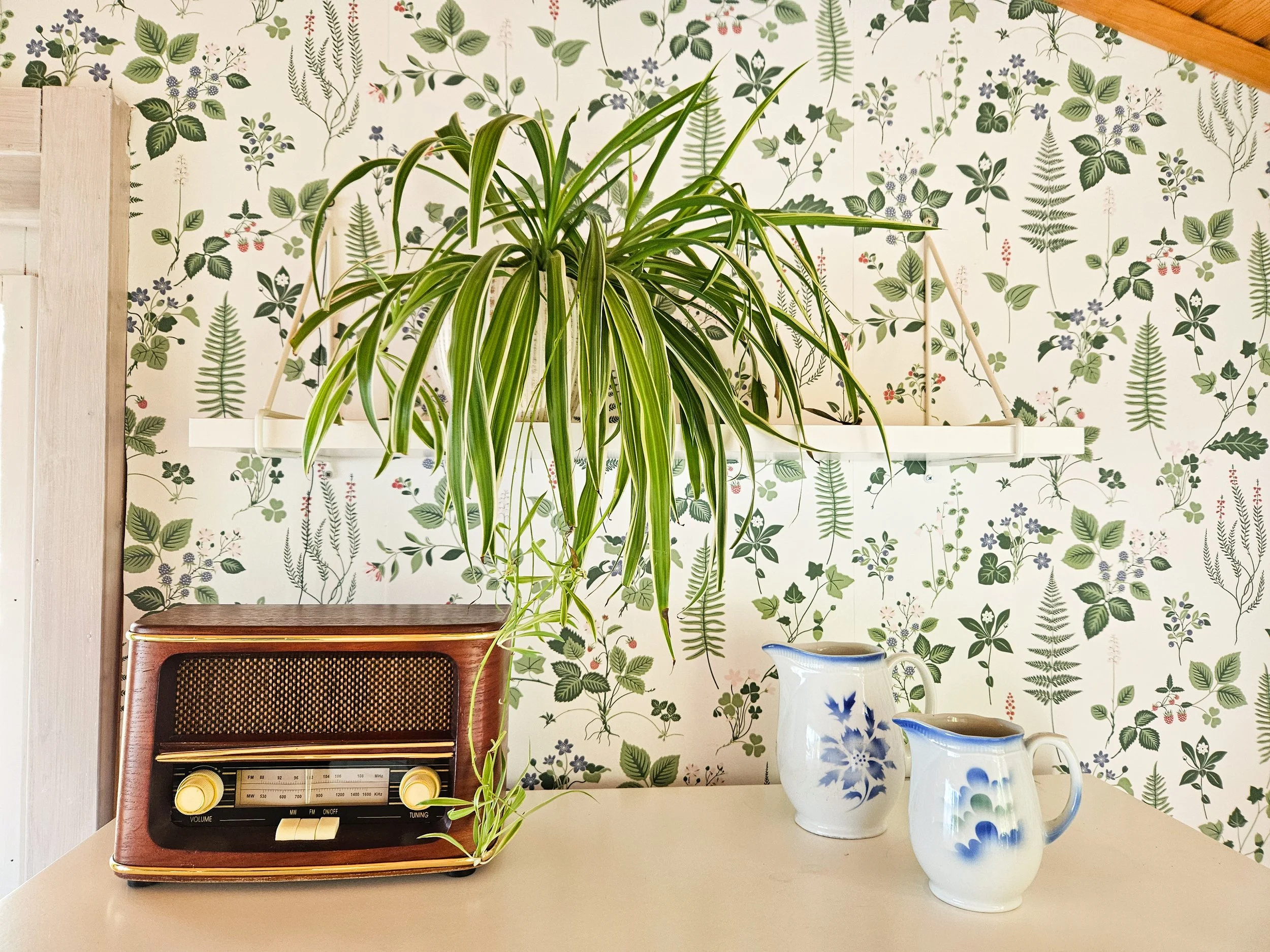 Vanha radio, arabian kannut, viherkasvi.