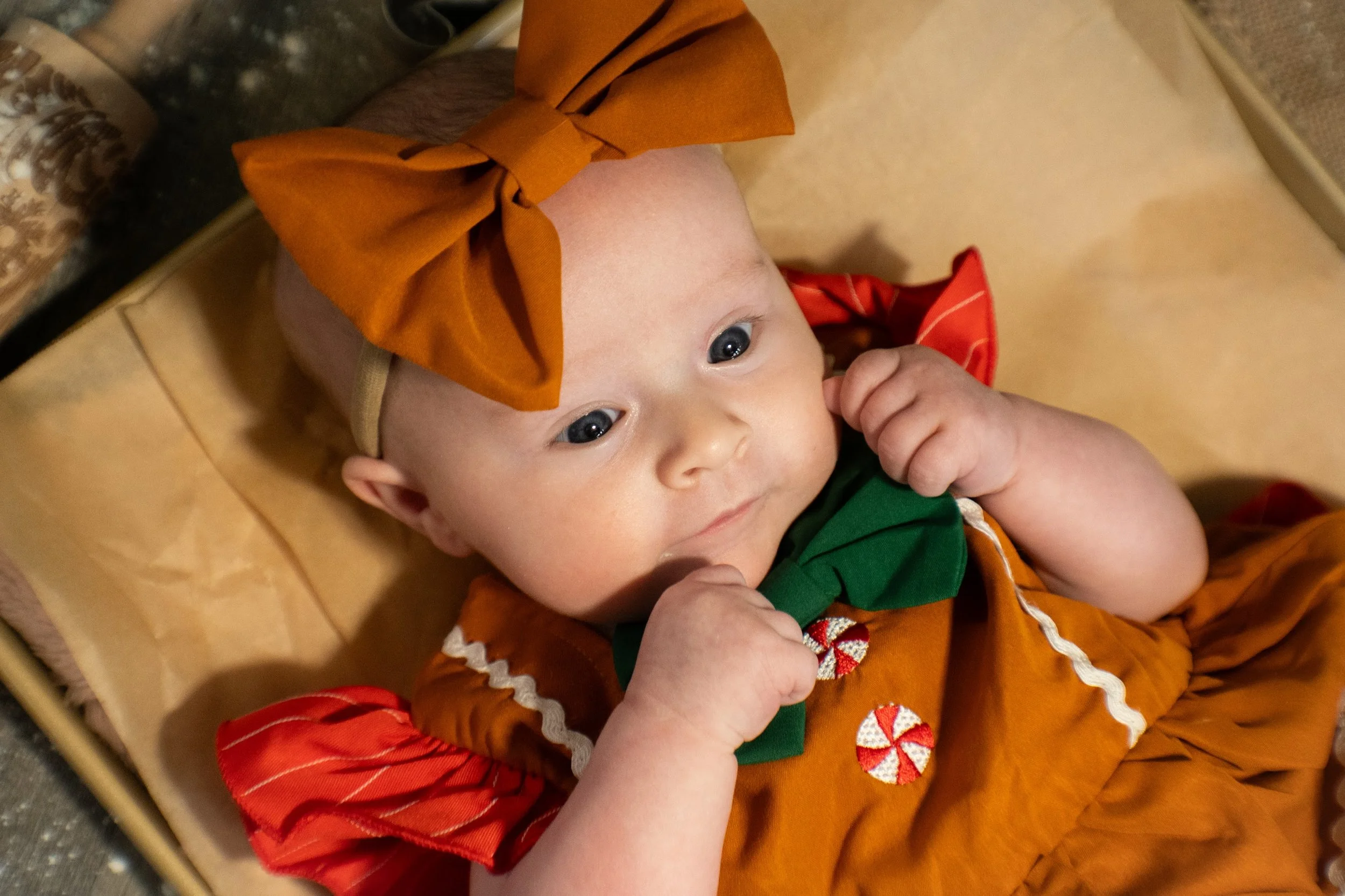 gingerbread-07.jpg