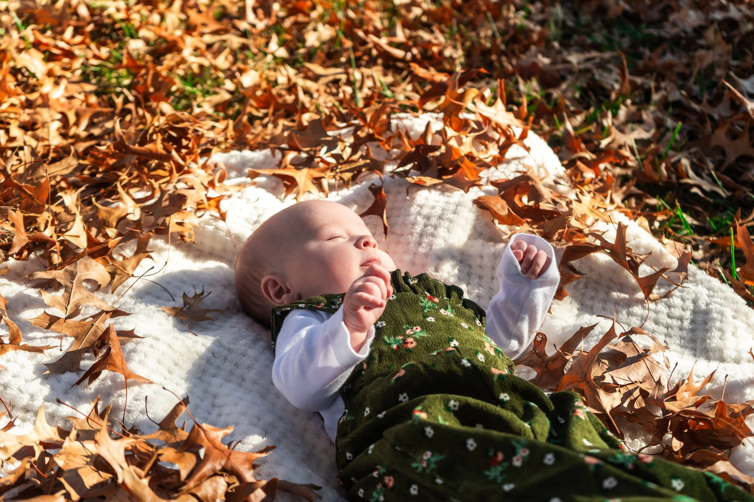 leaves-04.jpg