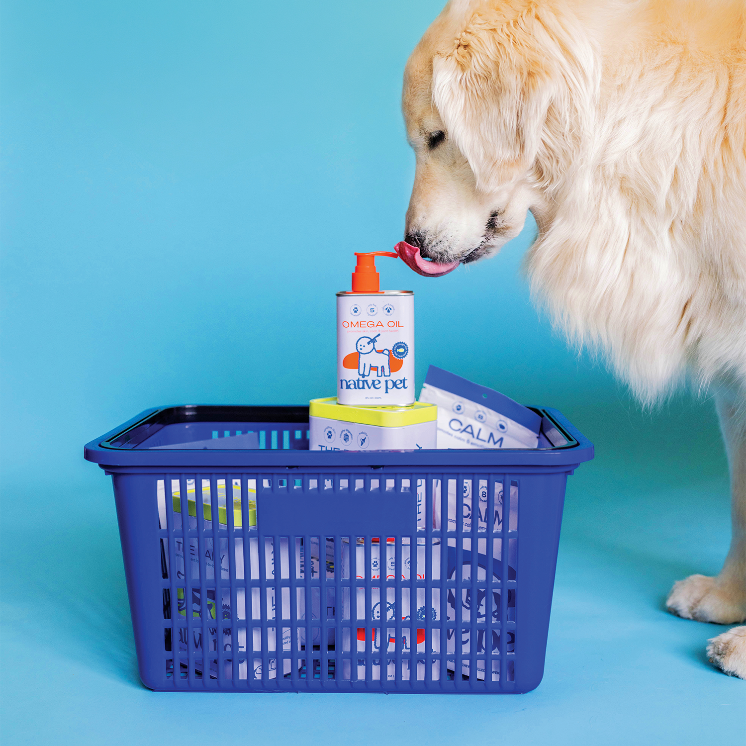 FetchContentStudio-NativePet.png