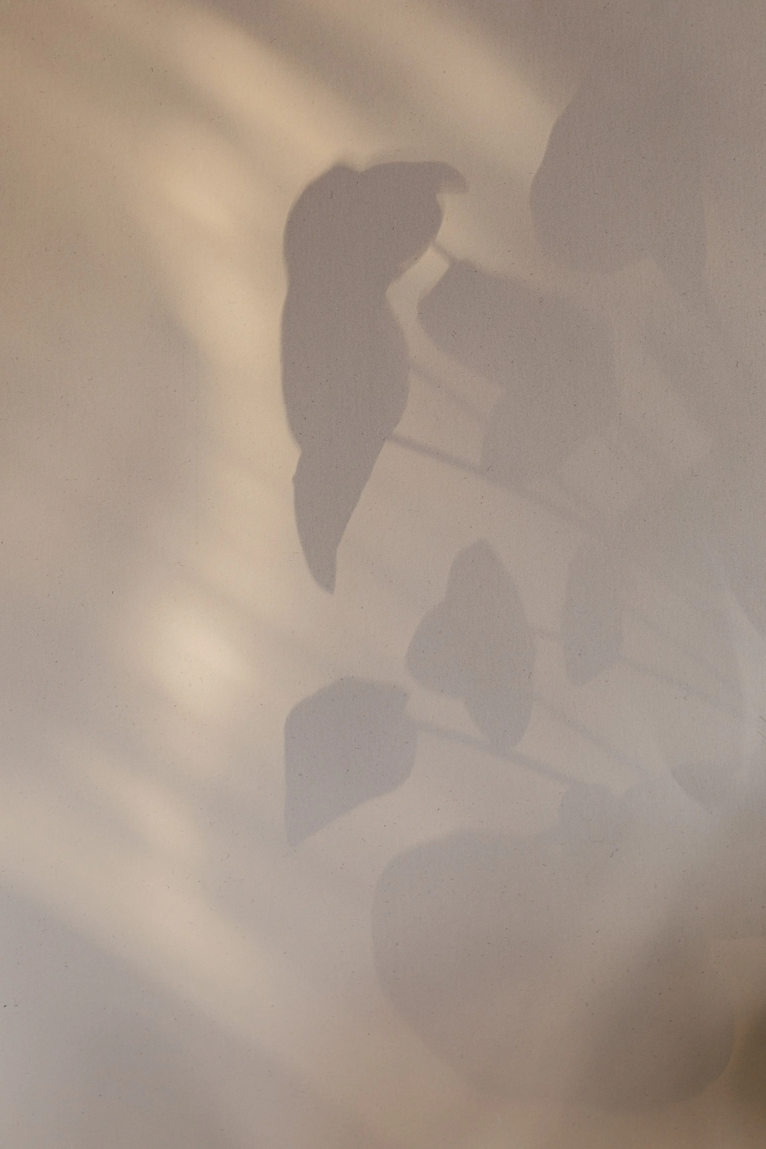 Shadow of a bird perched on a wire cast on a beige wall.