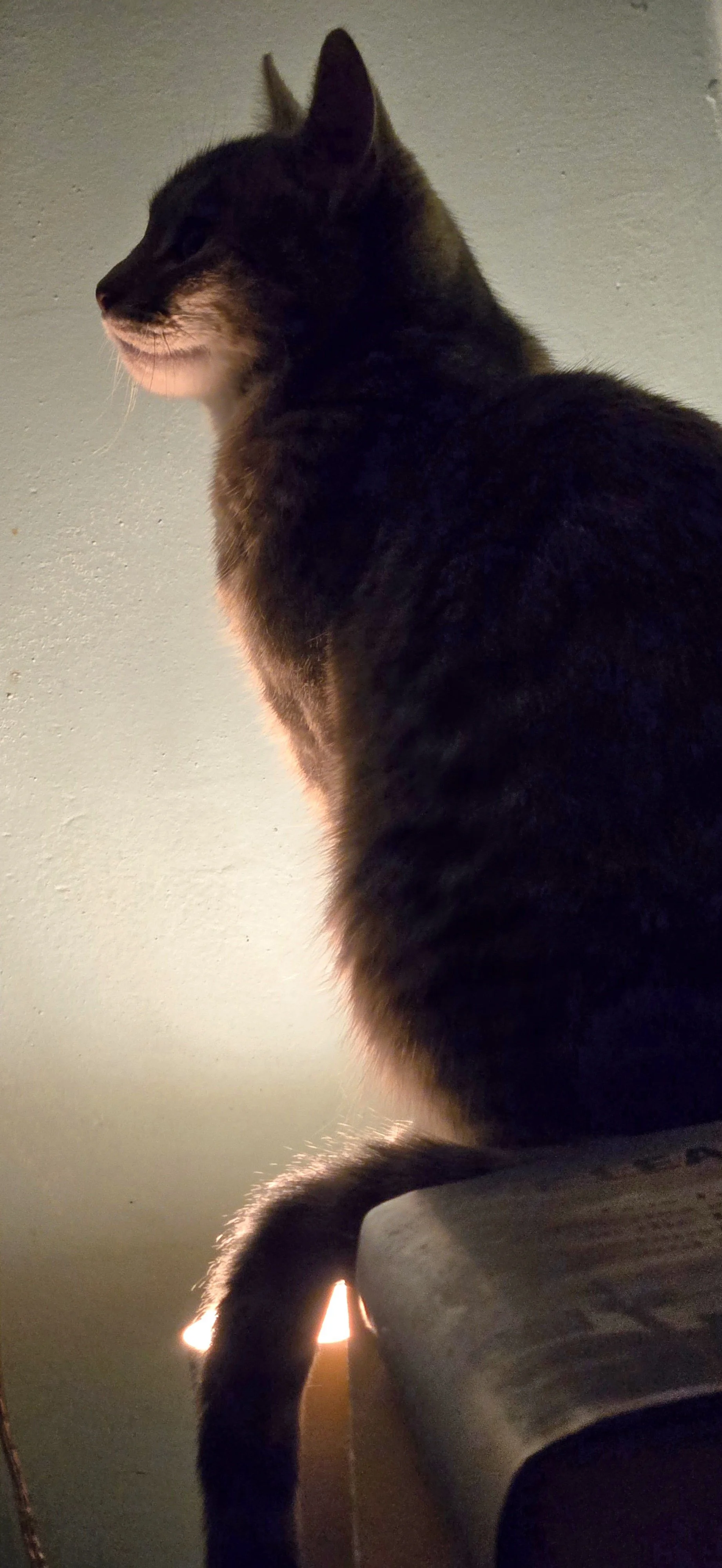 20250202_201251.jpg
