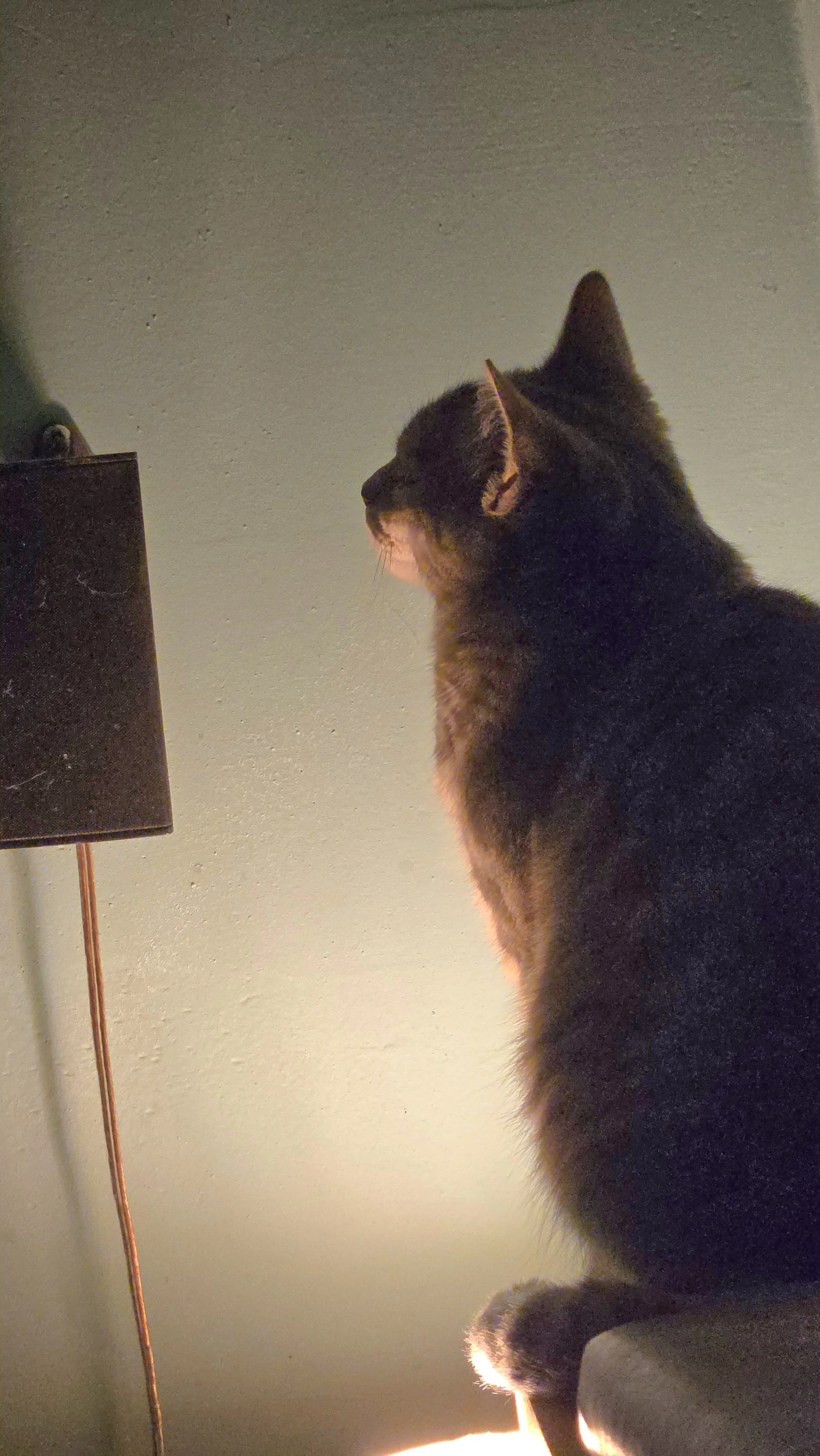 20250202_201231_001.jpg