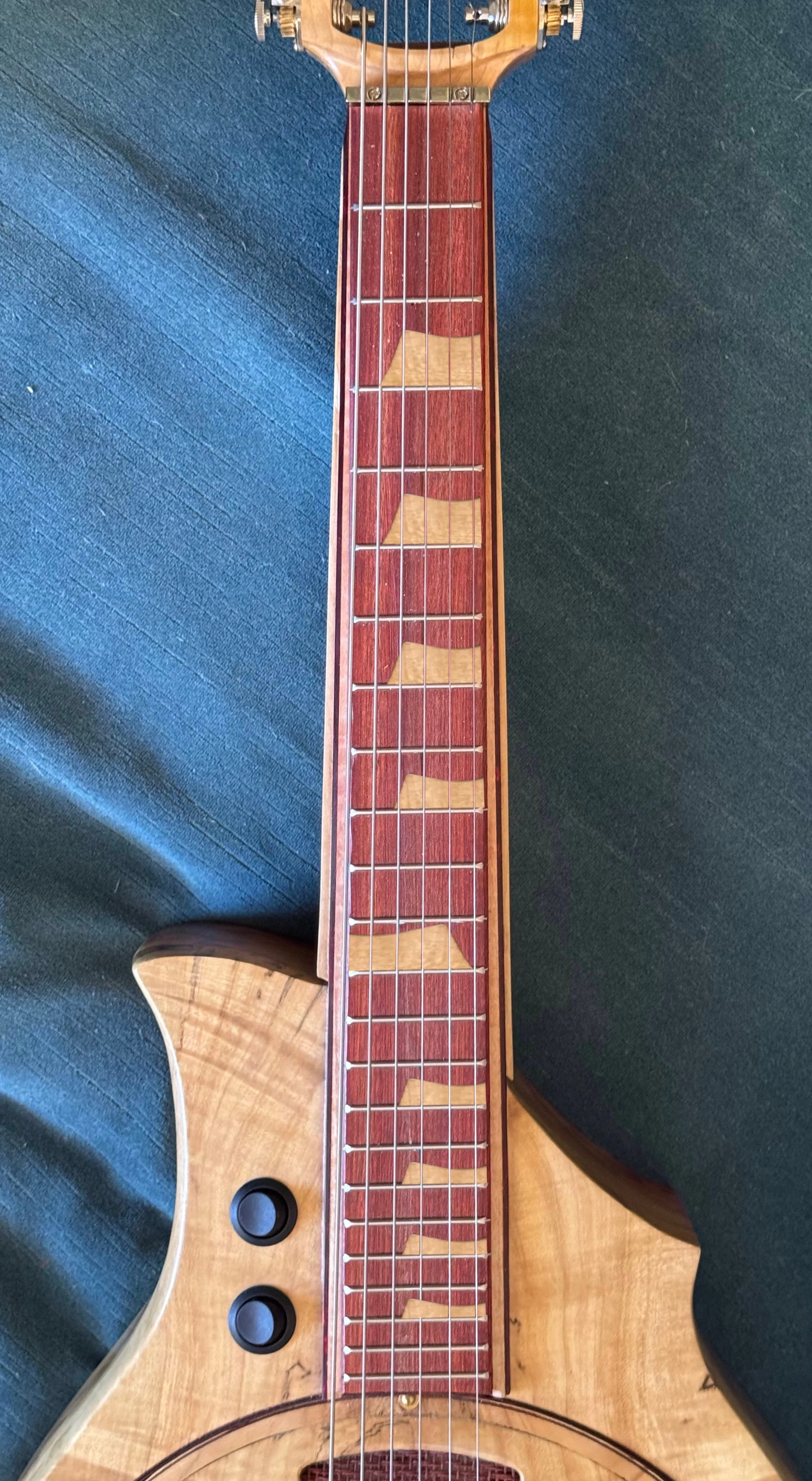 Thang fretboard.jpg(2).jpeg