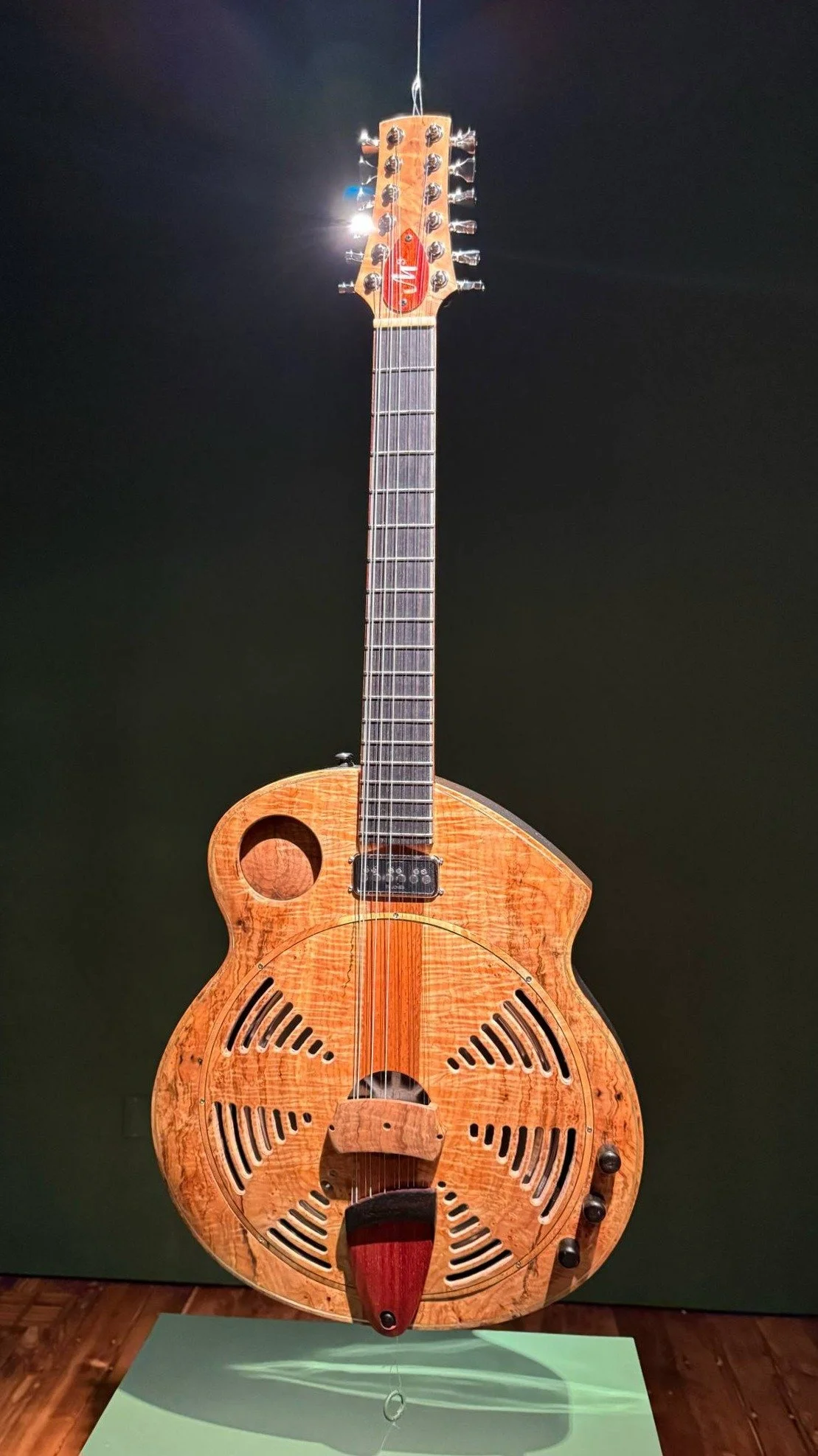 Bullfrog 12 string.jpg