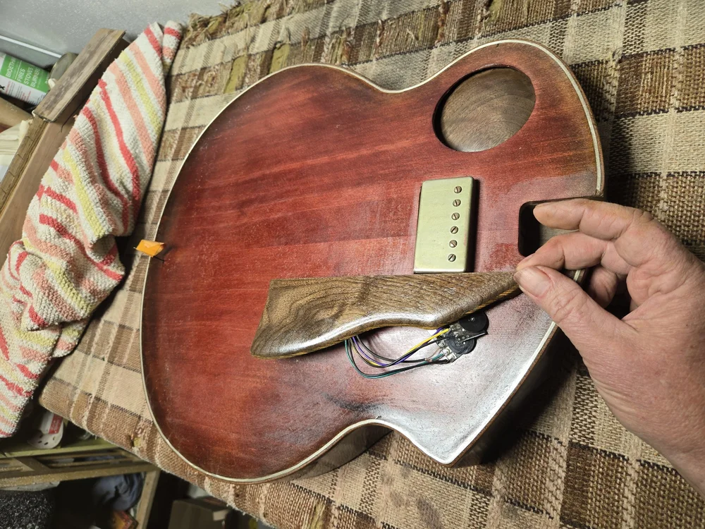 Bullfrog Archtop &mdash; pre-fit