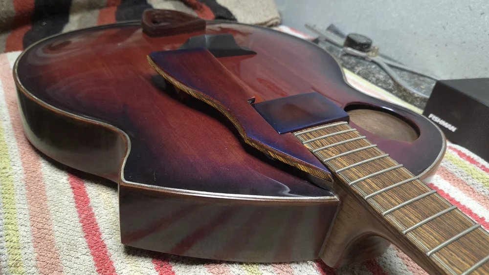 Bullfrog Archtop &mdash; pre-fit