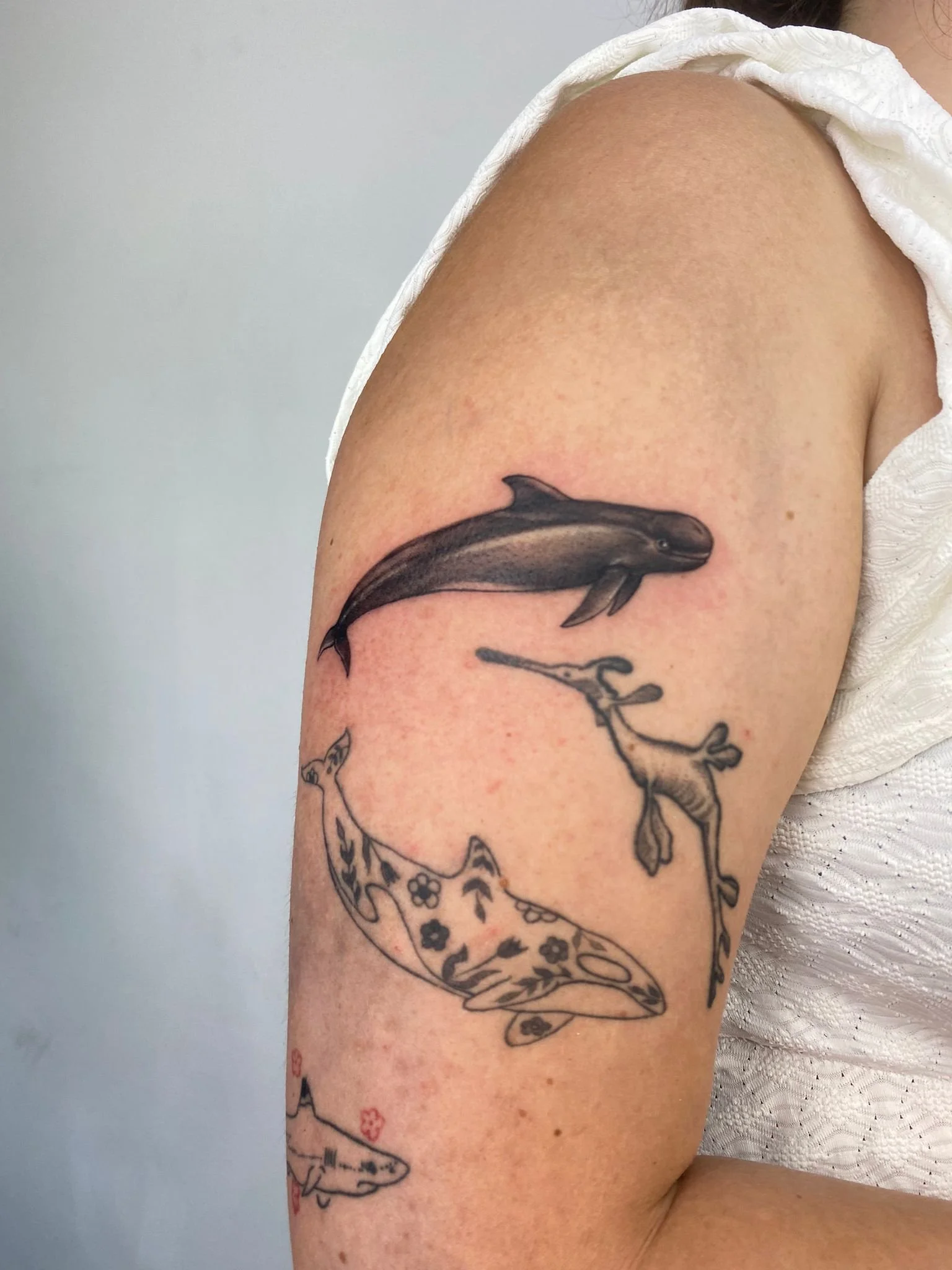 Tatuagem de um peixe de golfinho na parte superior do braço, com detalhes em preto e cinza, e outro peixe de desenho mais simples abaixo, também na parte superior do braço.