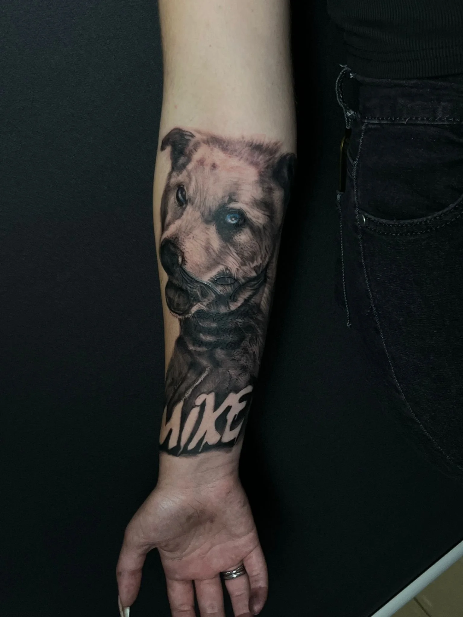 Tattoo de um cachorro na manga do braço, com a palavra 'HOKE' escrita na parte inferior.