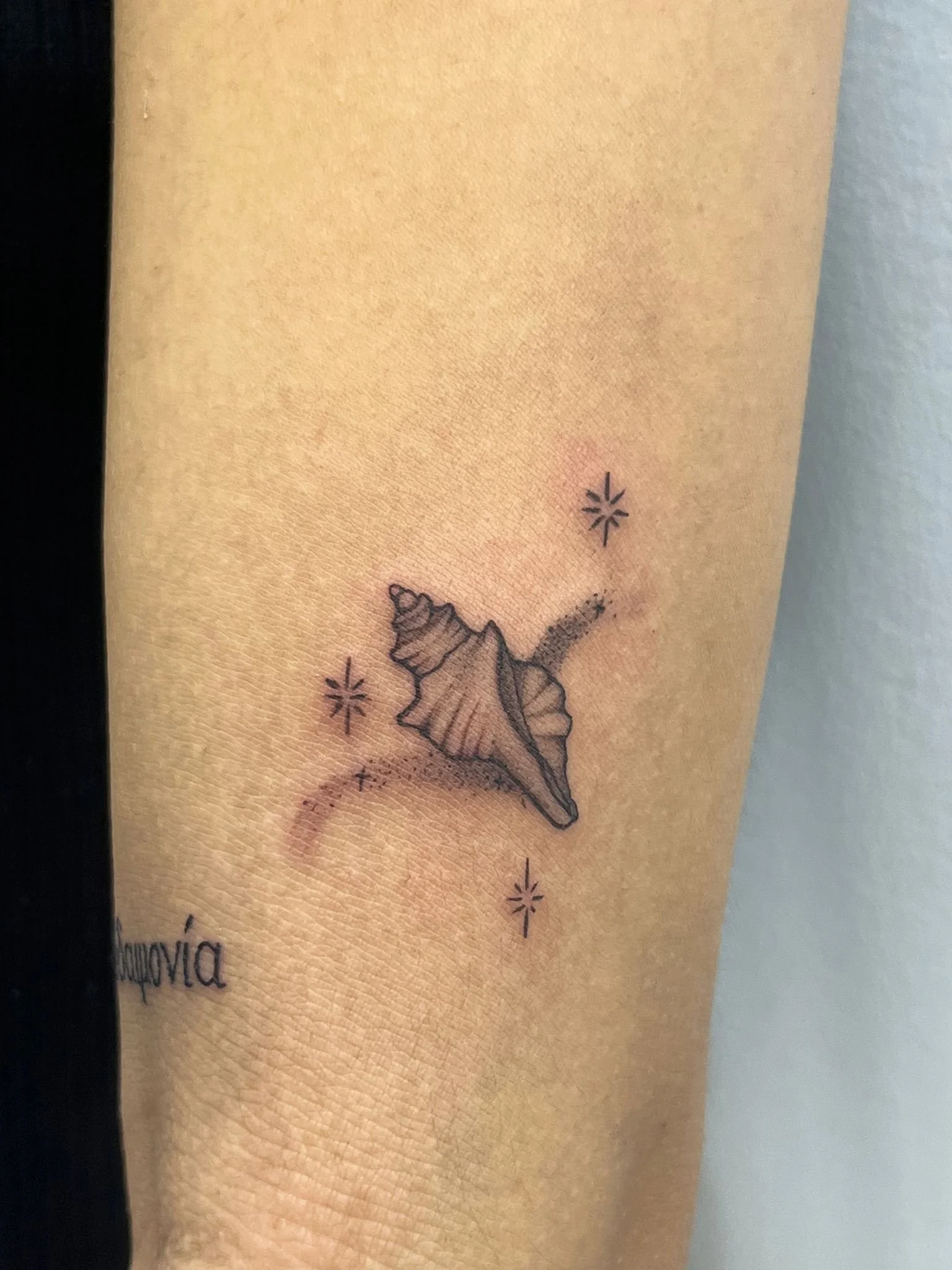 Tattoo de uma concha marinha e estrelas ao redor, localizado no braço de uma pessoa.