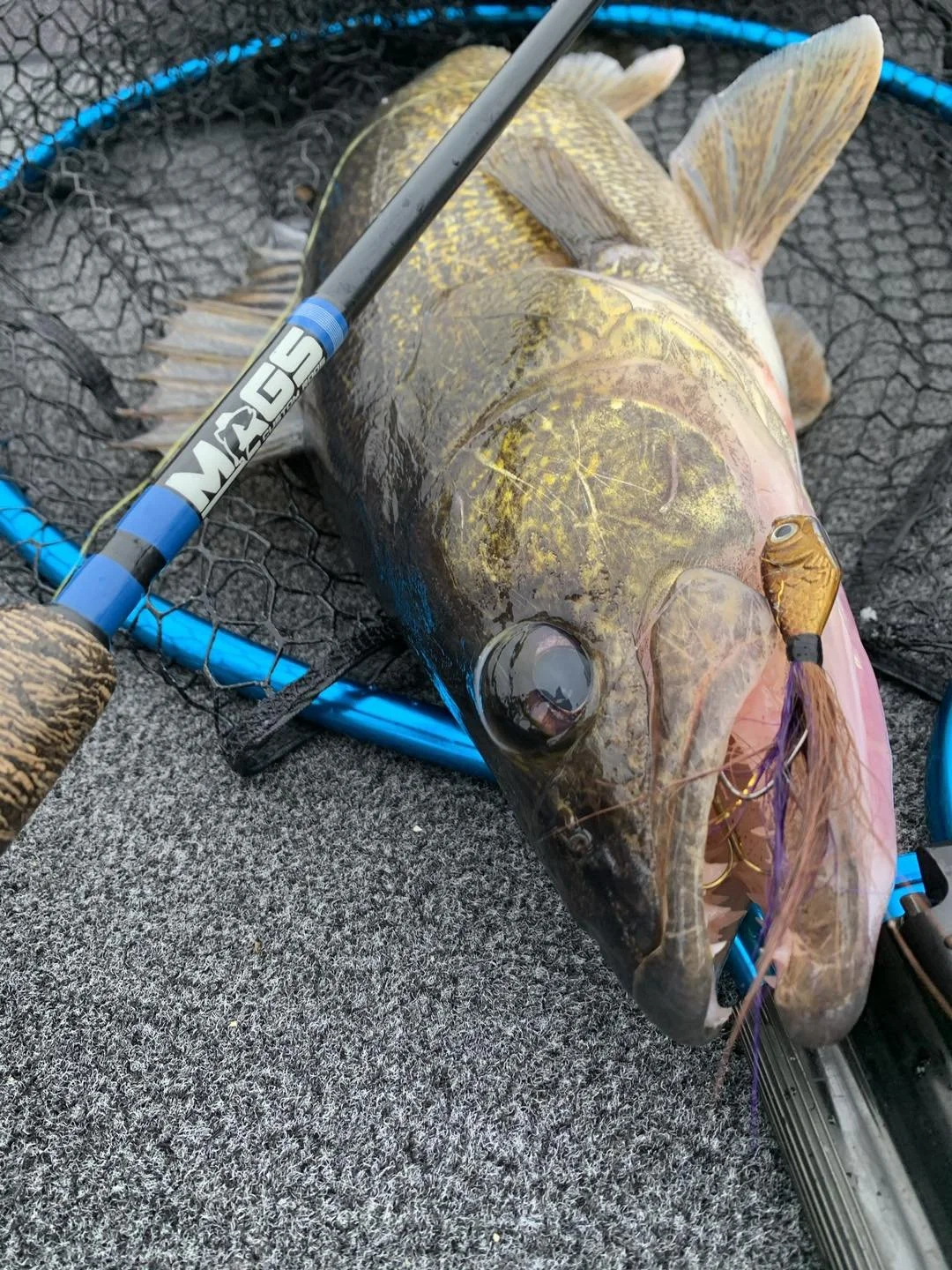 Detroit River Walleye Jigging