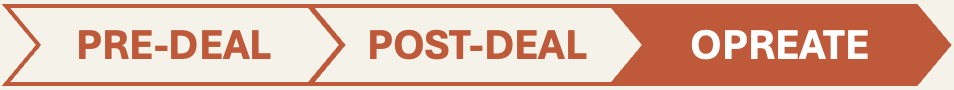 Pre-deal diligence, Post-deal VCP interventions, Operating or Interim CEO