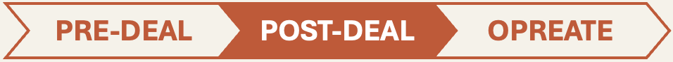 Pre-deal diligence, Post-deal VCP interventions, Operating or Interim CEO