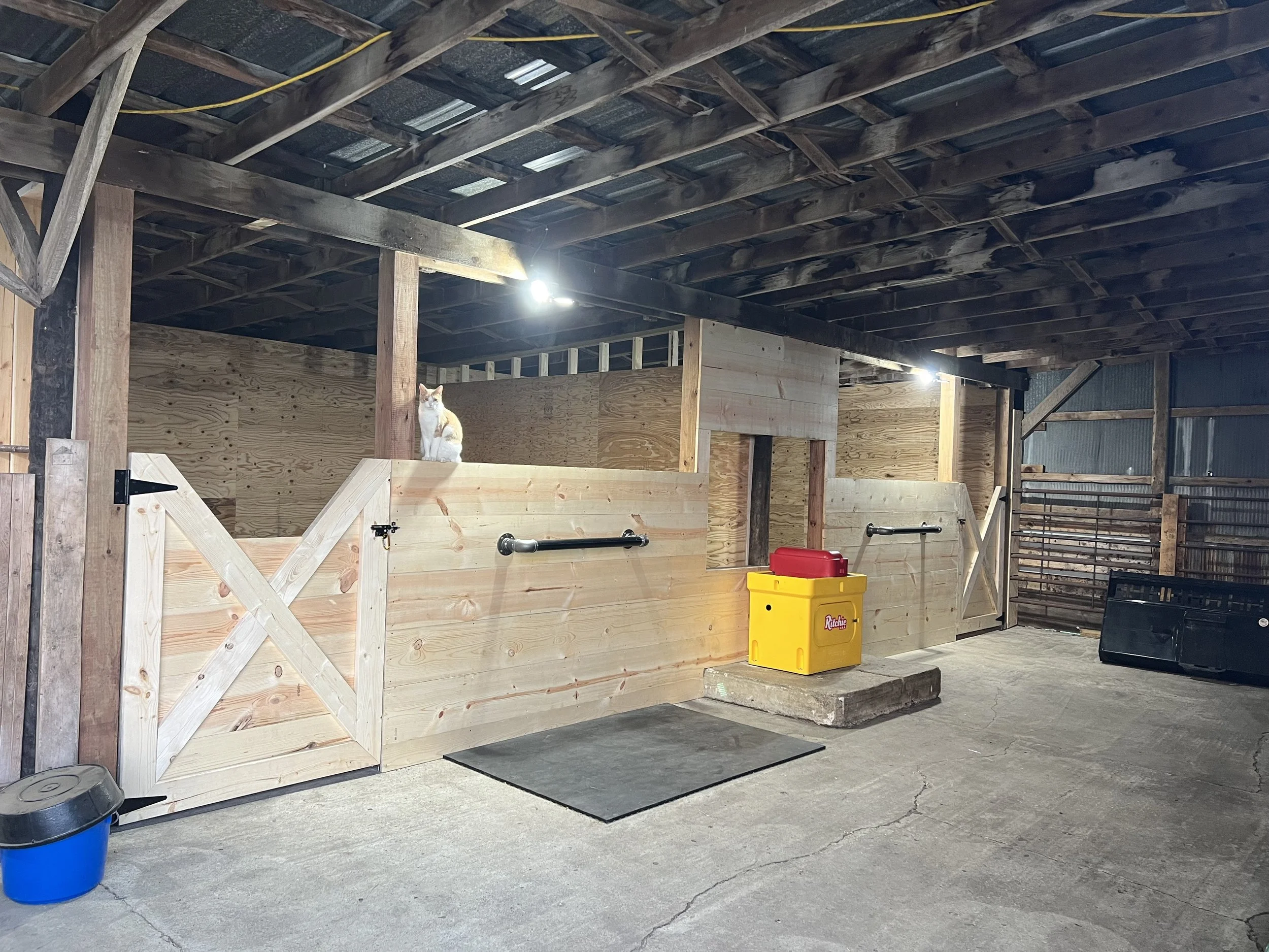 Horse Barn Conversion