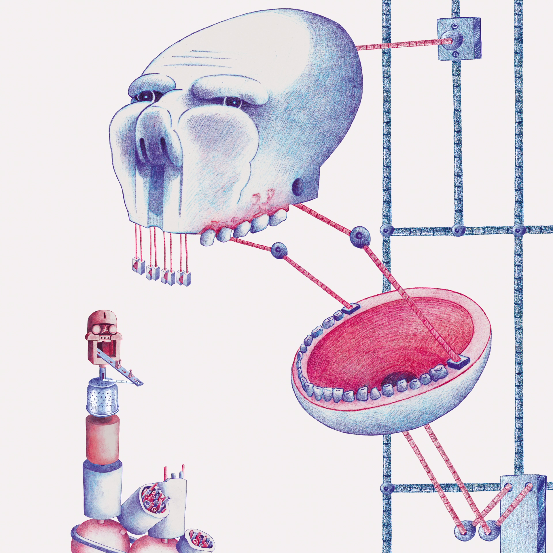 Animations