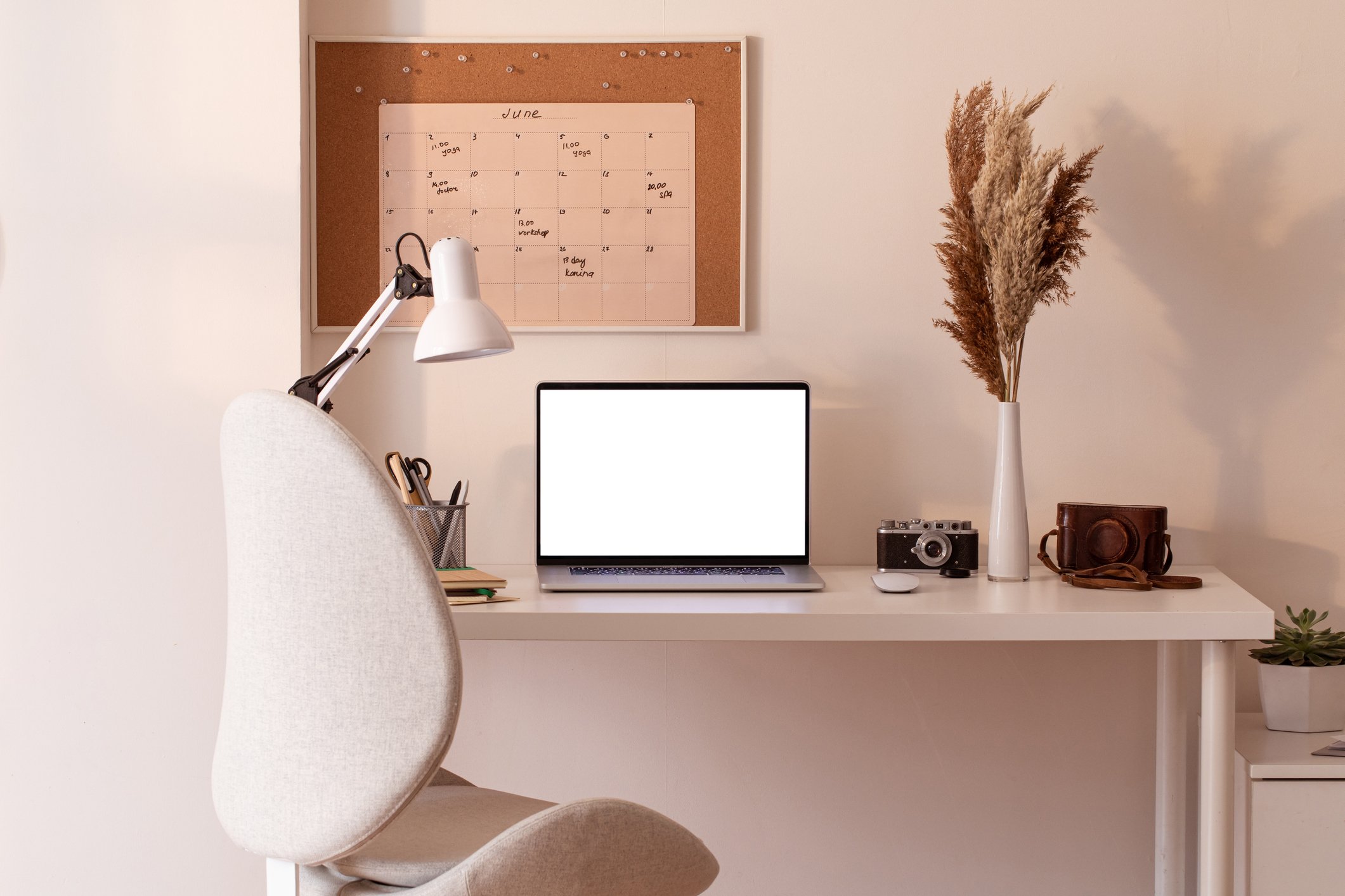 A tidy home office workspace with a white desk, a beige office chair, a lamp, a laptop with a white screen, a vintage camera, a white vase with dried pampas grass, a brown leather camera case, a small potted succulent, and a corkboard with a calendar and notes on the wall.