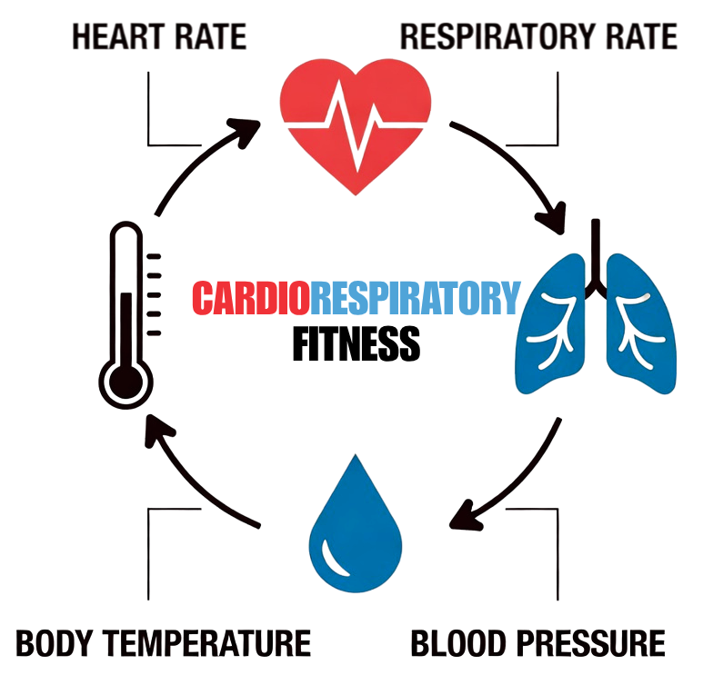 Diagram showing cardiorespiratory fitness as a vital sign