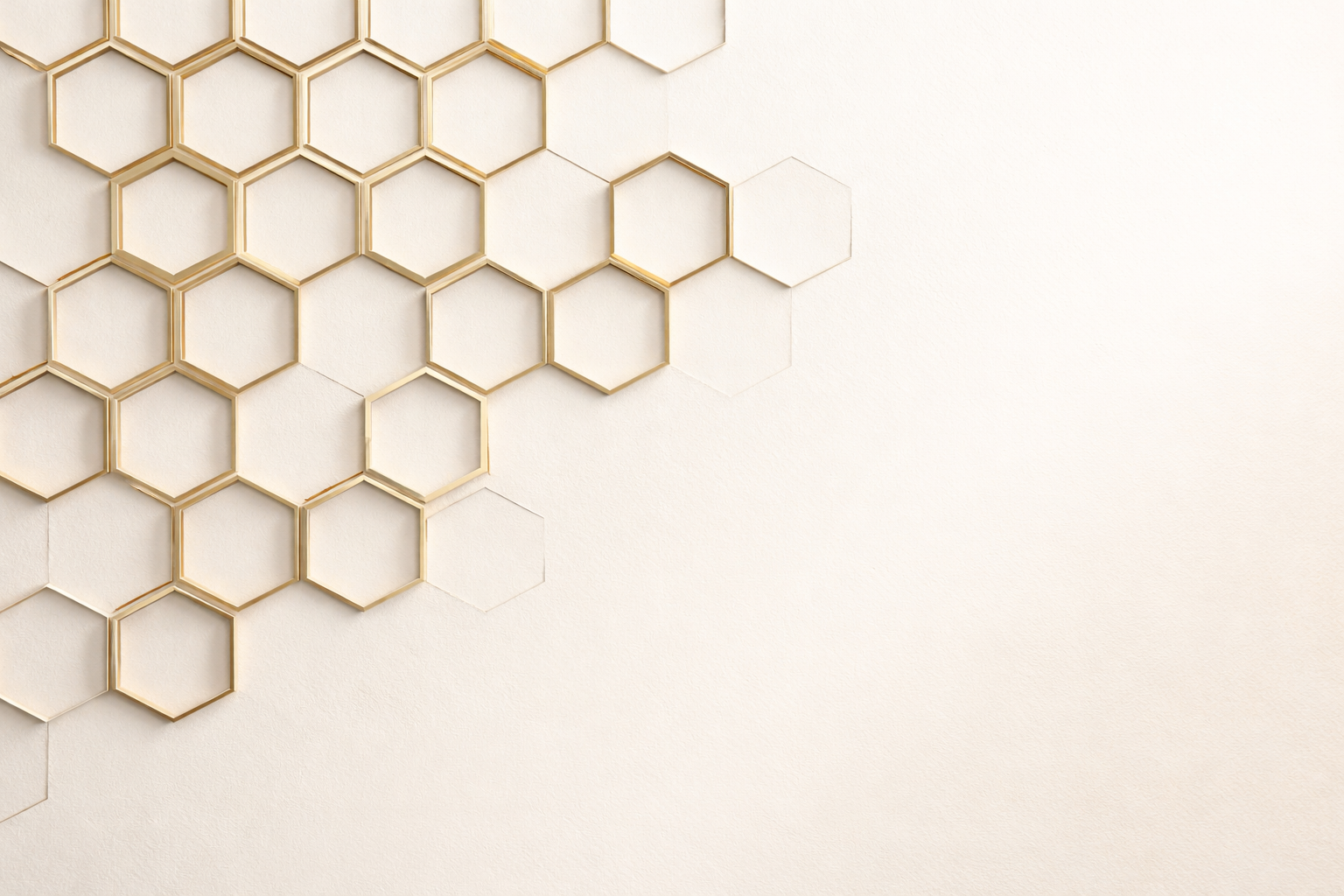 Hive Fractional Partners