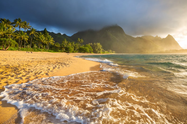 Tropical beach with palm trees, mountains, and sunset lighting.