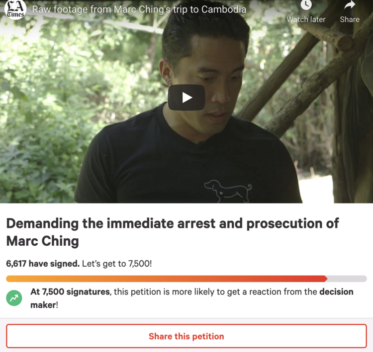 Screenshot+2021-08-06+at+09.06.30.png