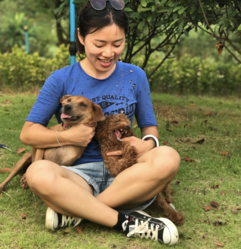 A young woman with sunglasses on her head, wearing a blue T-shirt and shorts, sitting cross-legged on the grass outdoors, playing with two small brown dogs. She is smiling, and the dogs appear to be happy and playful. The background shows greenery and trees.