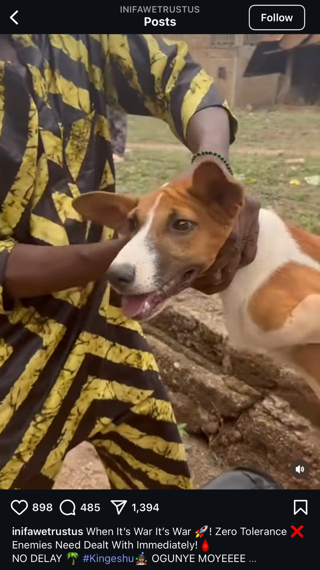 A person wearing a yellow and black patterned jacket is petting a brown and white dog outdoors. The dog has a white face with brown patches around the eyes and ears, and appears to be happy with its tongue slightly out. The background suggests a park or garden area with grass, rocks, and a blurred building structure.