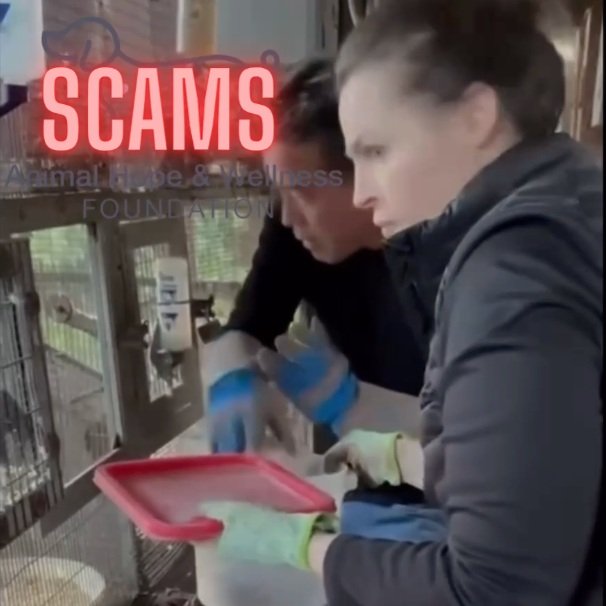 Two women working inside an animal shelter, handling a pink plastic container, with a sign that says 'SCAMS' and 'Animal Care & Trust Foundation' visible in the background.