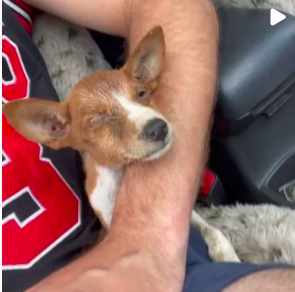 Screenshot 2021-08-27 at 08.25.41.png