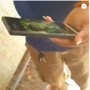 Micheal Chour Exposes Marc Ching