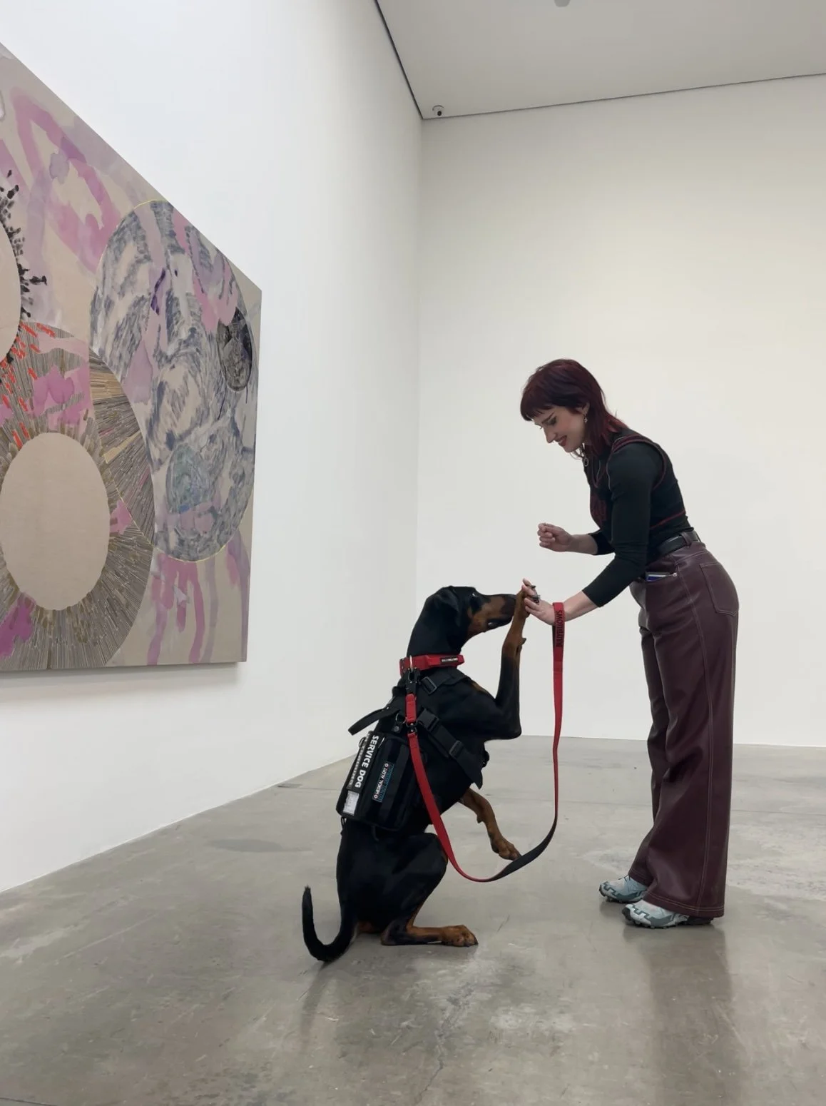 Assistance Dog Workshop for Businesses