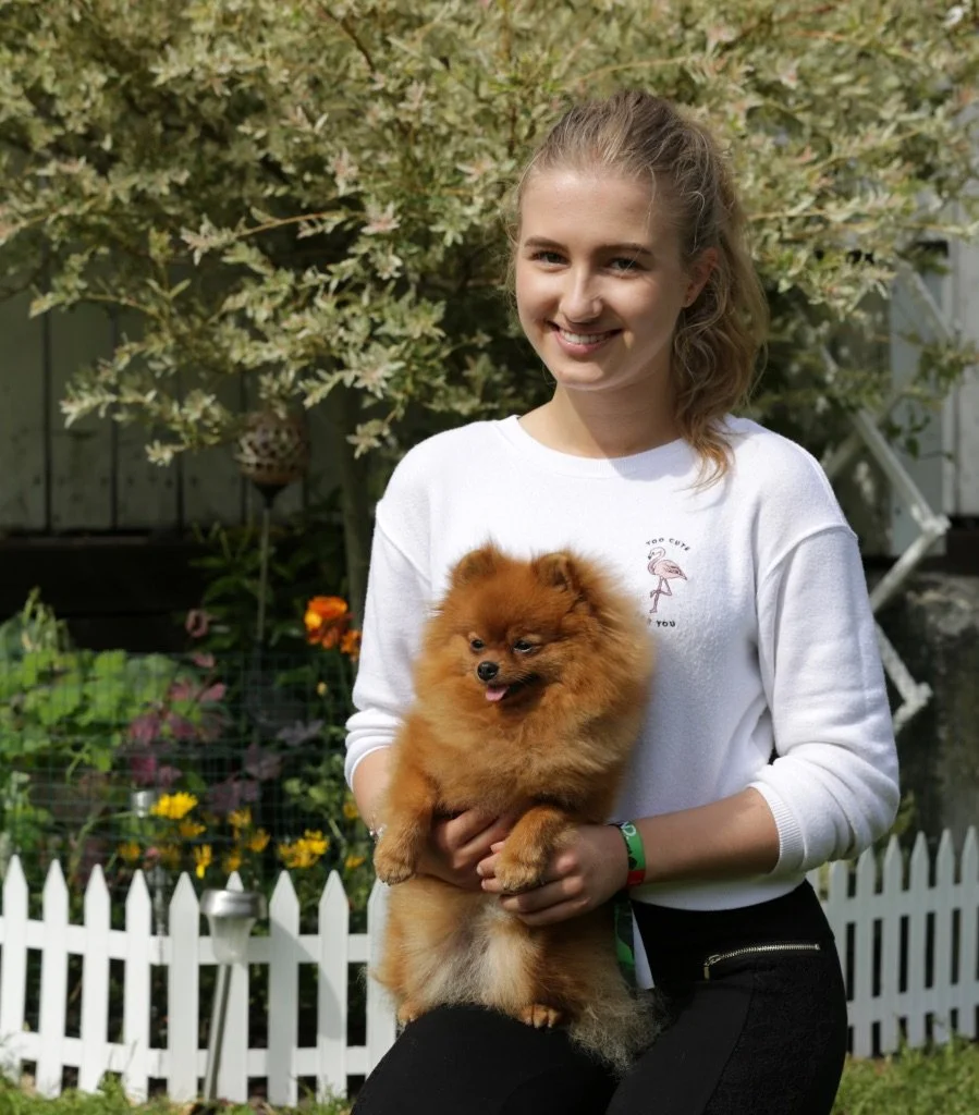 1-1 Dog Training Session