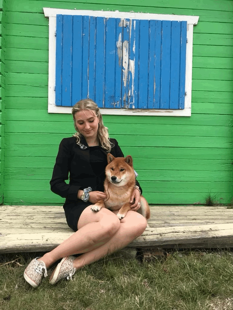 New Puppy / Rescue dog