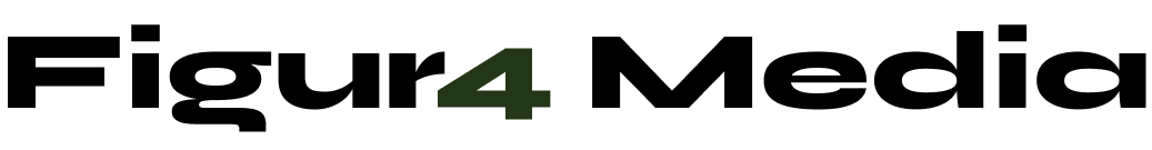 Figur4 Media