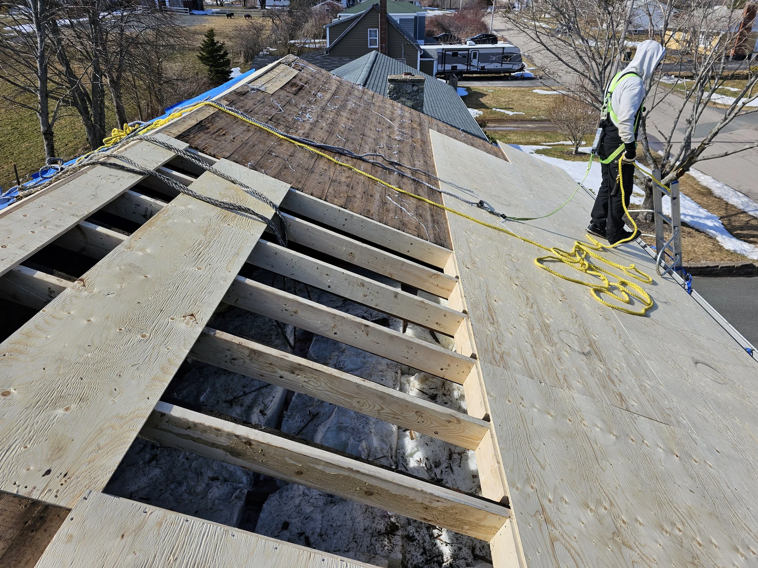 Laminated roof rafters to remove sag in roof prior to snap lock metal roofing install.