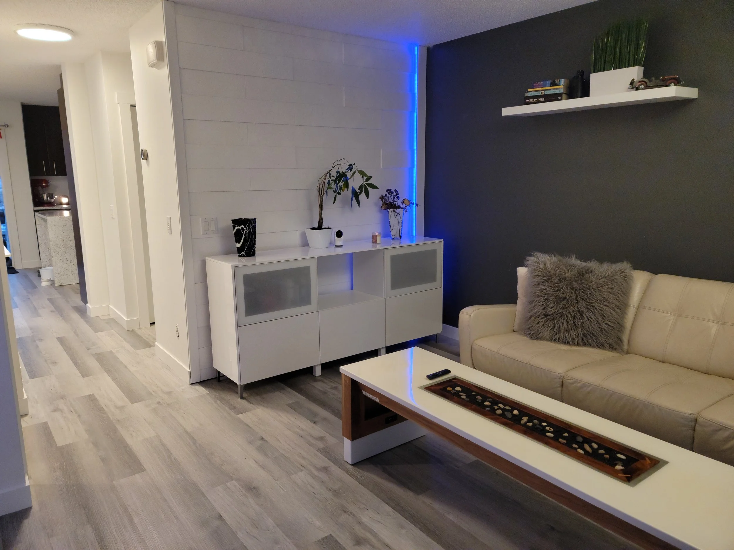 Living Room Renovation