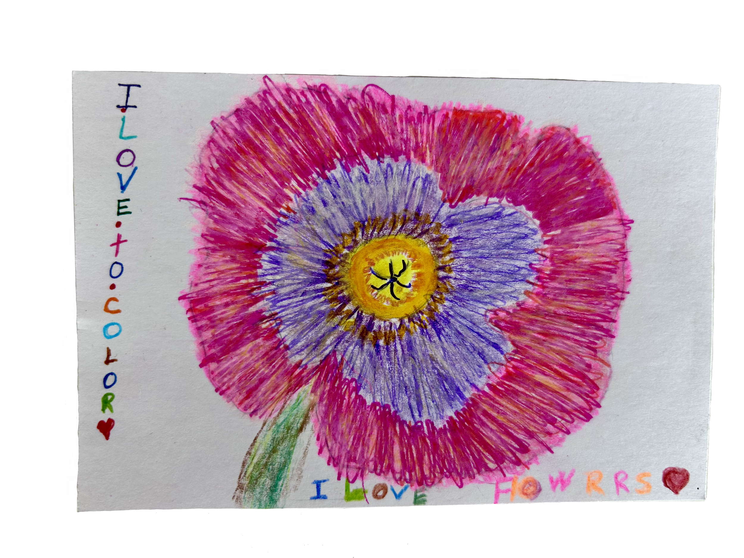 IMG_3824.png
