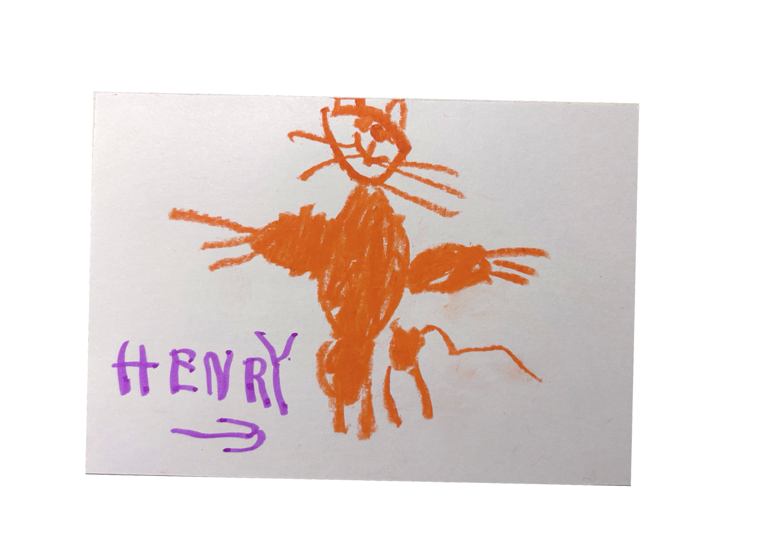 "my cat Henry" by Diana