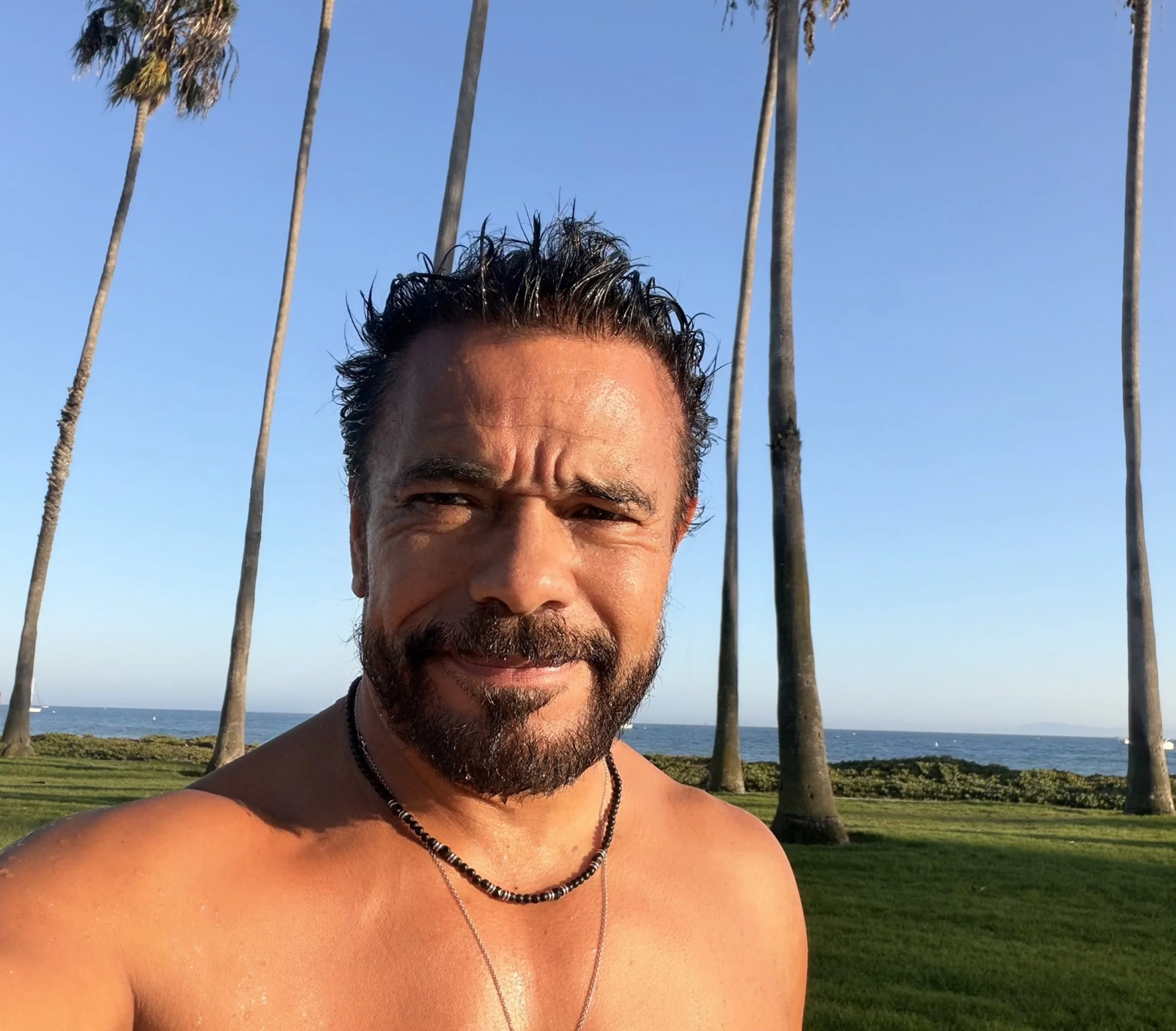Close-up of a smiling man with short black hair and a goatee outdoors near the beach, with tall palm trees and a blue sky in the background.