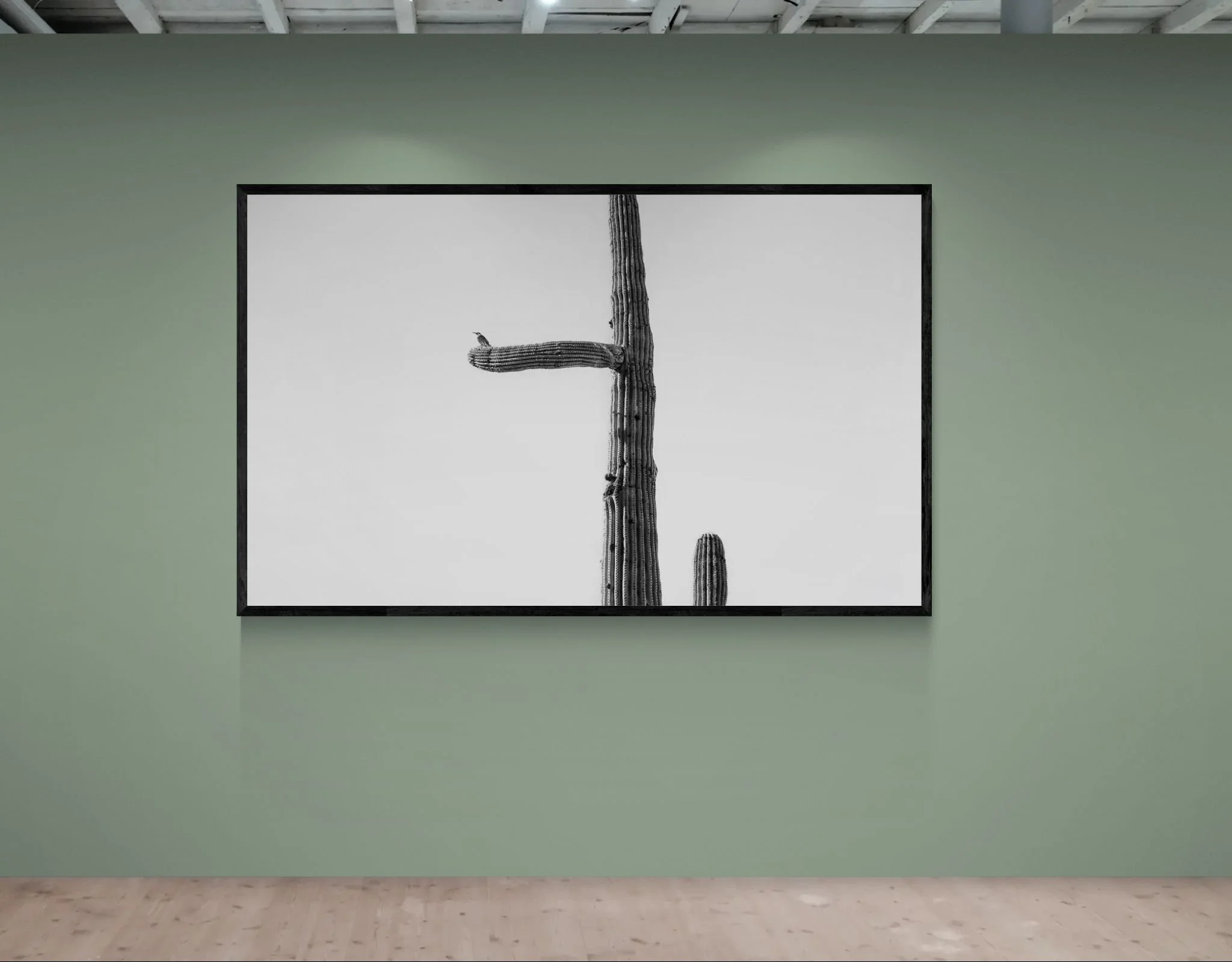 Gallery wall with two spotlights.jpeg