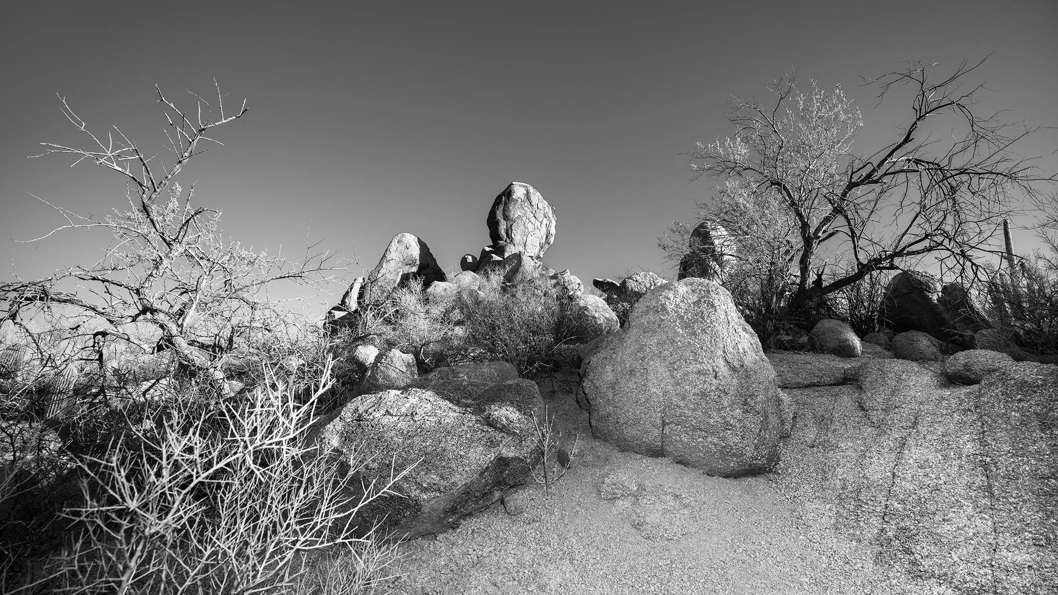 SNP_Landscape2_7449_169.jpg