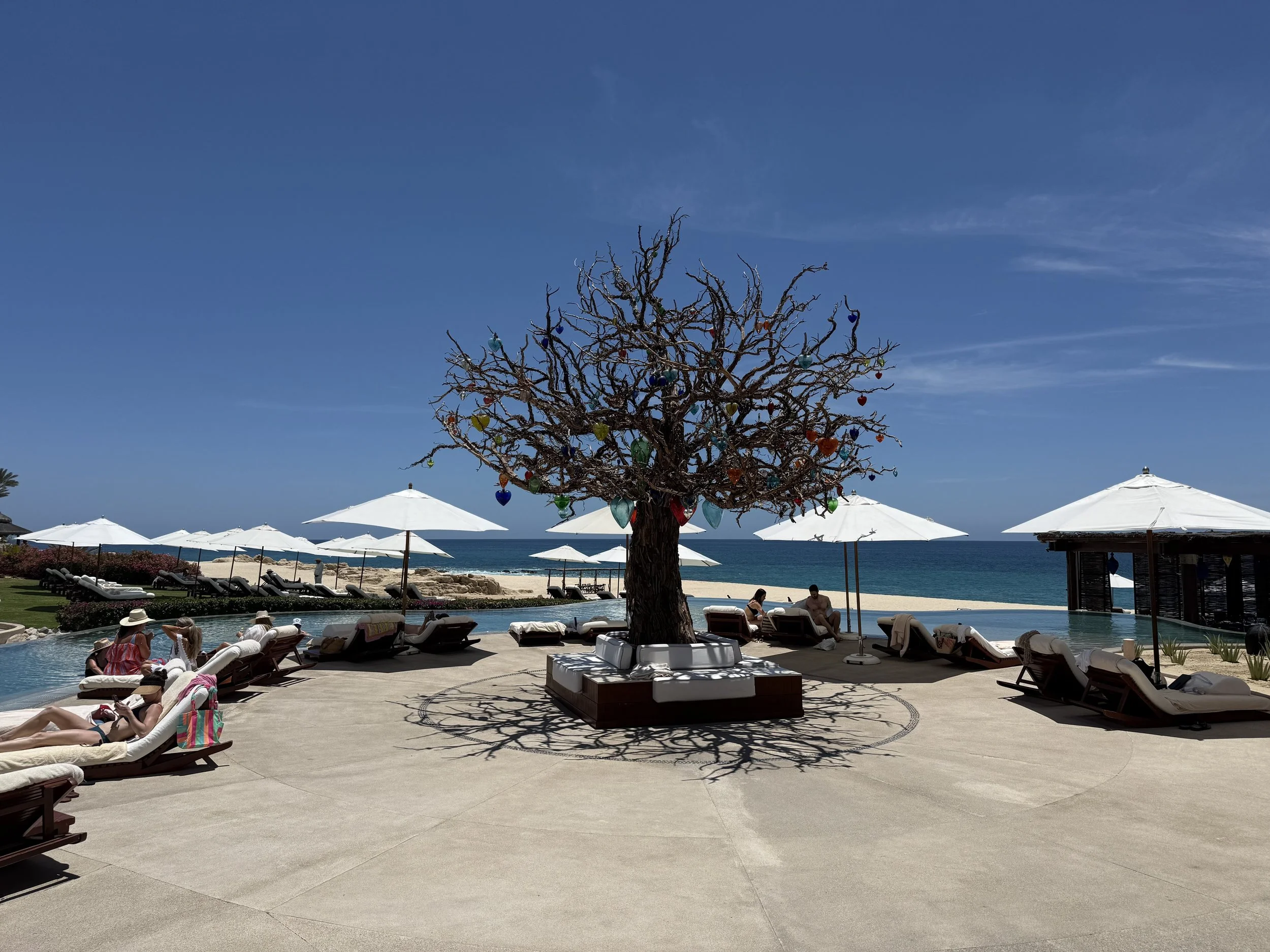 Mexico & the Caribbean — Sun, privacy, and the right property.