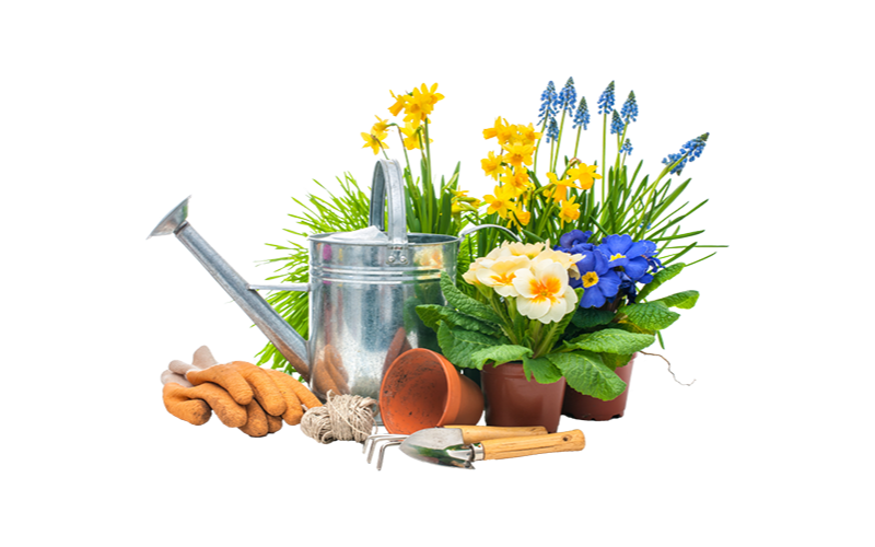 Tidy Towns Planting