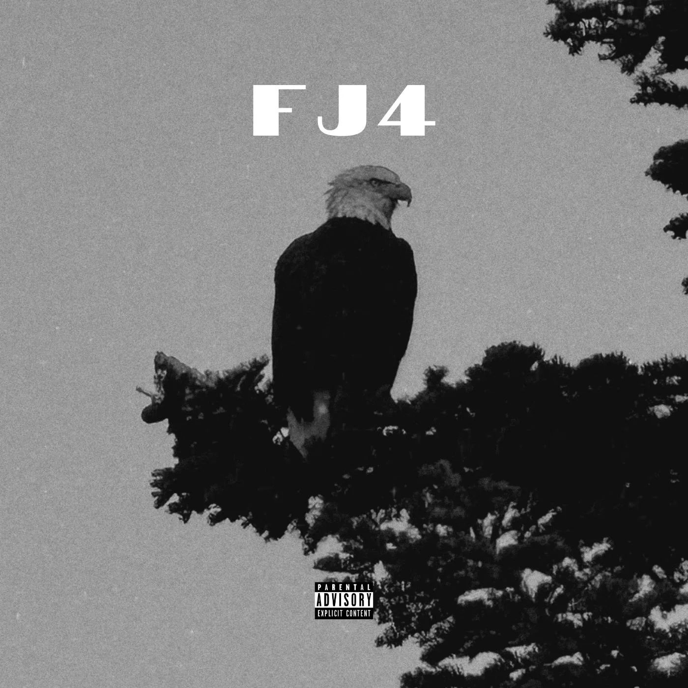 Black and white photo of a bald eagle perched on a tree branch, with the text 'FJ4' above it and a parental advisory label at the bottom.